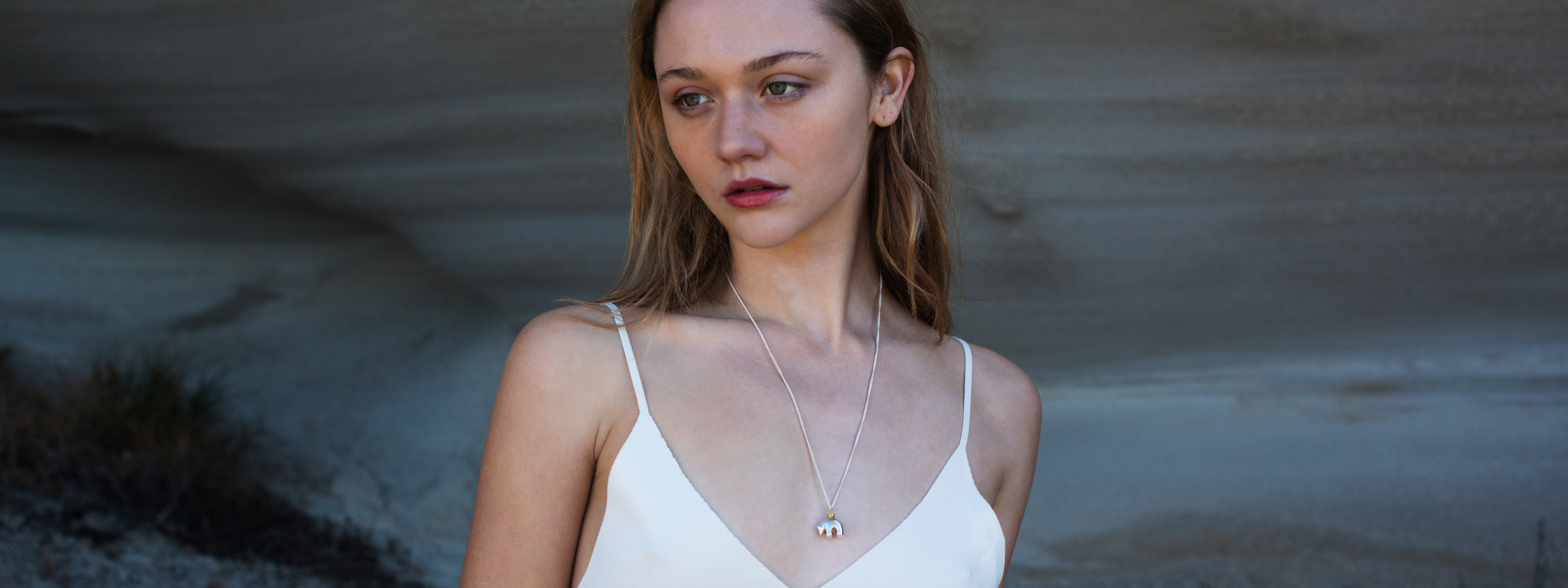 The Animal Spirit Collection