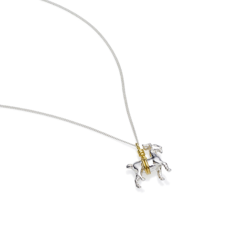Capricorn Necklace | Sterling Silver with Gold Plate