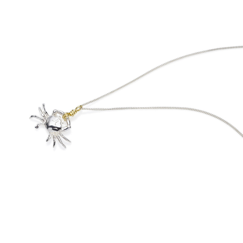 Cancer Necklace | Sterling Silver with Gold Plate